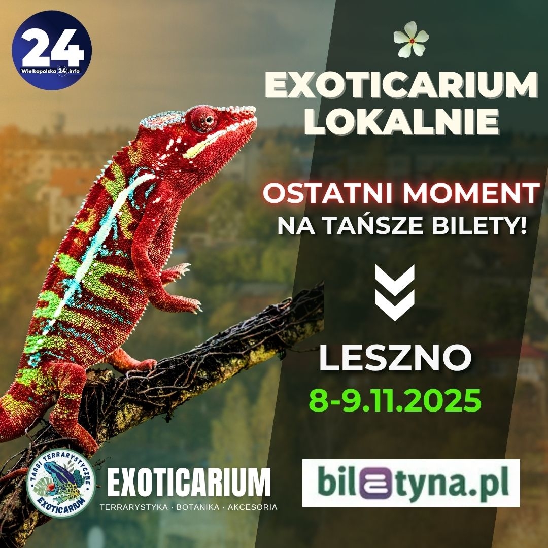 Egzotyczne zwierzęta z całego świata zawitają do Leszna