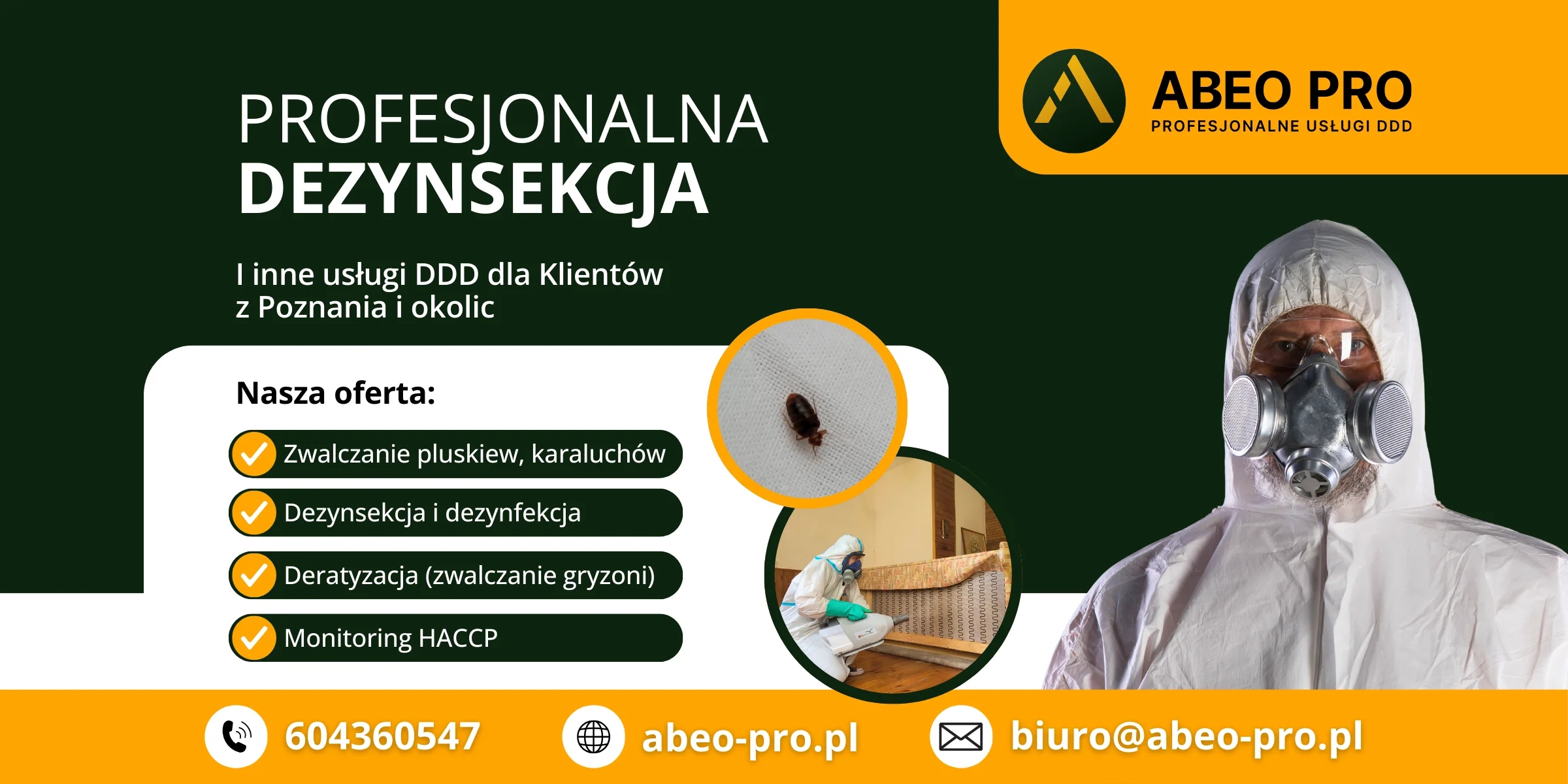 Pluskwy w mieszkaniu – po czym rozpoznać, iż masz z nimi problem i od czego zacząć?